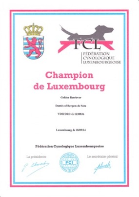 Urkunde Luxemburg Champion